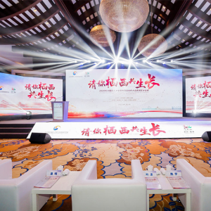 2020杭州国际人才交流与项目合作大会